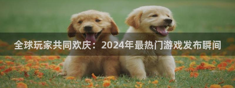 法国bbin视讯：全球玩家共同欢庆：2024年最热门游戏发布瞬间