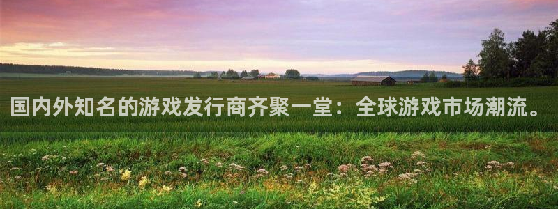 bbin视讯官网平台代理条件：国内外知名的游戏发行商齐聚一堂：全球游戏市场潮流。