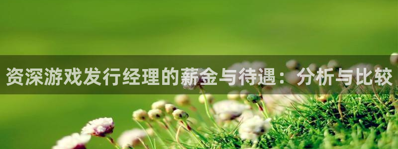 bbin视讯军团是哪个国家队：资深游戏发行经理的薪金与待遇：分析与比较
