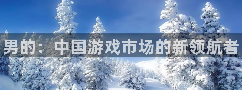 bbin视讯商标：男的：中国游戏市场的新领航者