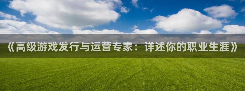bbin视讯多少钱：《高级游戏发行与运营专家：详述你的职业生涯》