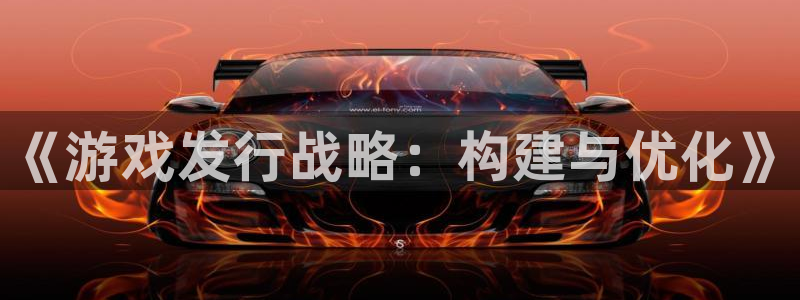 广州bbin视讯投资：《游戏发行战略：构建与优化》