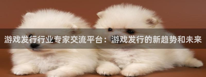 长沙bbin视讯子电子商务有限公司：游戏发行行业专家交流平台：游戏发行的新趋势和未来