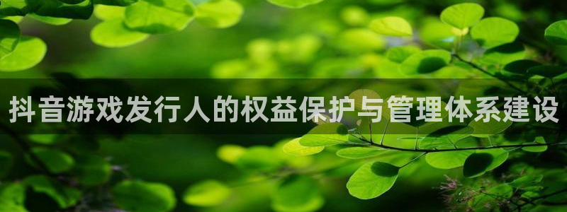 bbin视讯官网客服怎么样：抖音游戏发行人的权益保护与管理体系建设