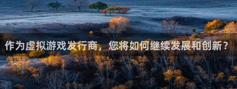 bbin视讯官网平台代理条件是什么：作为虚拟游戏发行商，您将如何继续发展和创新？