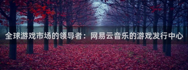 bbin视讯官网游戏平台介绍：全球游戏市场的领导者：网易云音乐的游戏发行中心