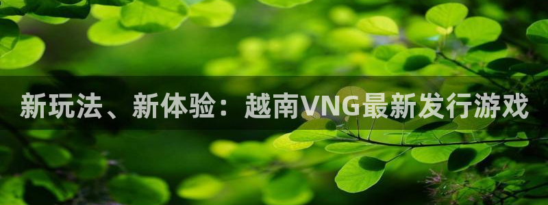bbin视讯官网注册方法有哪些呢：新玩法、新体验：越南VNG最新发行游戏