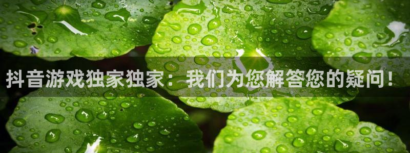 bbin视讯子文化创意有限公司：抖音游戏独家独家：我们为您解答您的疑问！