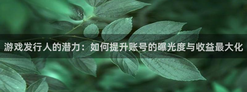 bbin视讯官网注册平台：游戏发行人的潜力：如何提升账号的曝光度与收益最大化