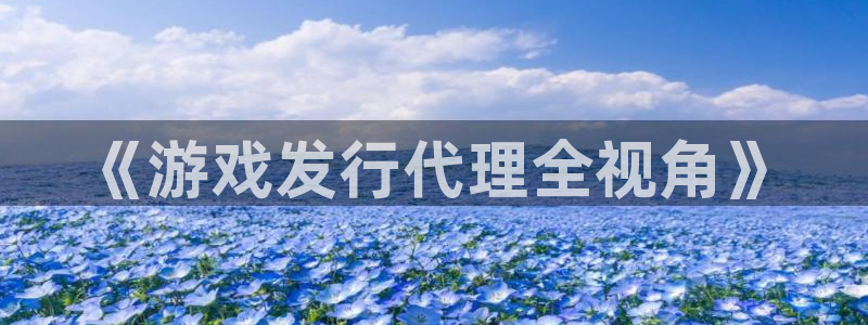 bbin视讯官网注册方法有哪些：《游戏发行代理全视角》