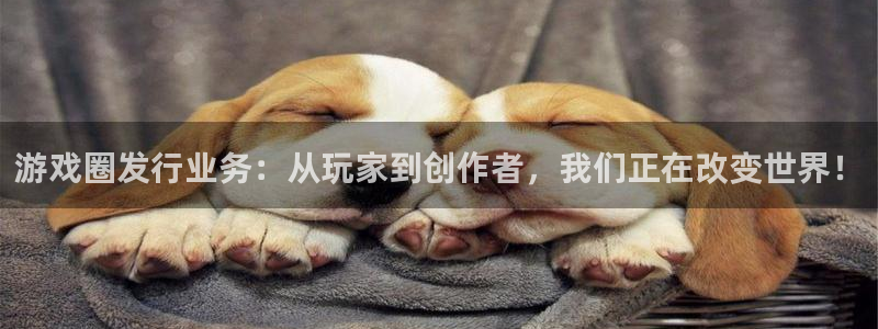 bbin视讯服装品牌