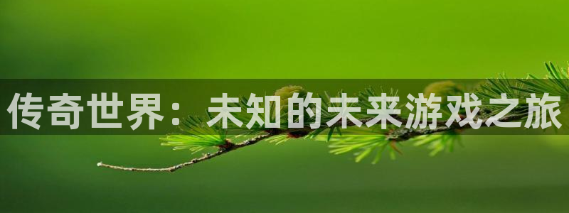 bbin视讯官网注册平台是什么意思：传奇世界：未知的未来游戏之旅