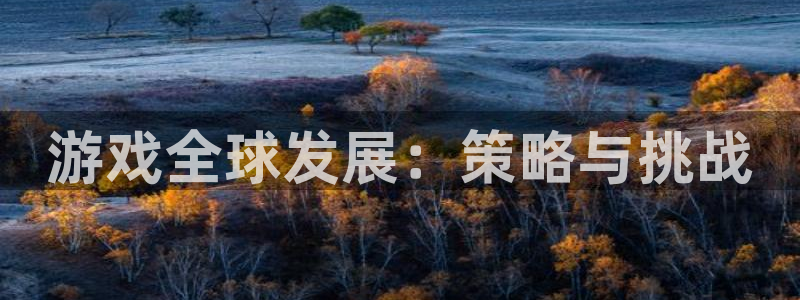 bbin视讯官网注册平台：游戏全球发展：策略与挑战