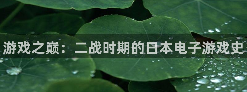 bbin视讯娱乐测速官网