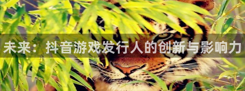 bbin视讯官网主营业务