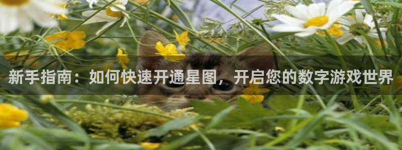 bbin视讯官网注册地址查询官网